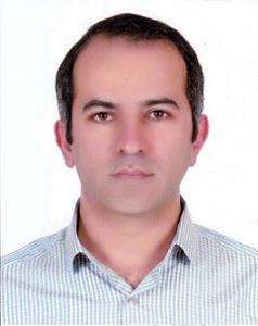 هادی محمودی