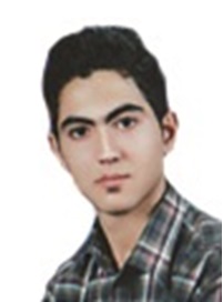 پیمان میرلو
