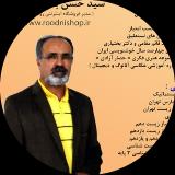 سید حسن بدیعی نامقی