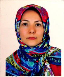 آسیه پورحسین