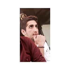 سید رضا شفایی املشی