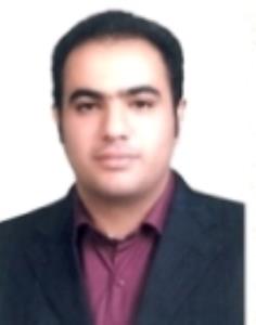 حمید شایسته فرد