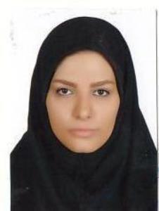 الهام میر