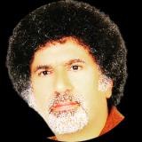امید  انصاری