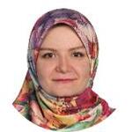 Hanieh Akbarimehr