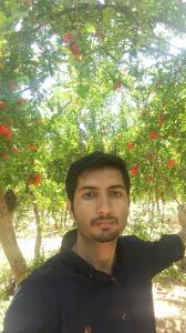 جواد بشیری