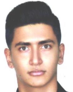 محمد رضا پران